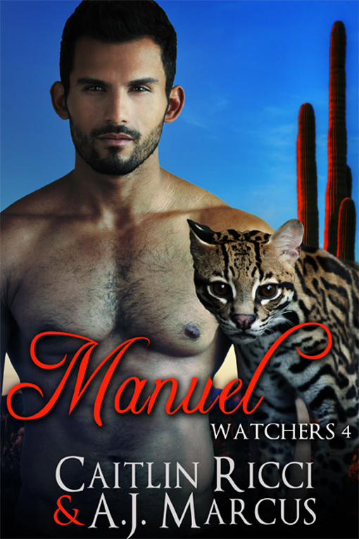 Manuel book cover