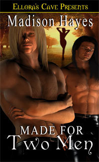 Made for Two book cover 1