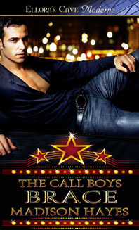 The Call Boys book cover