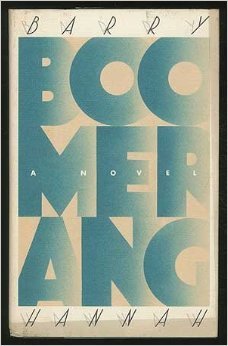 Boomerang book cover