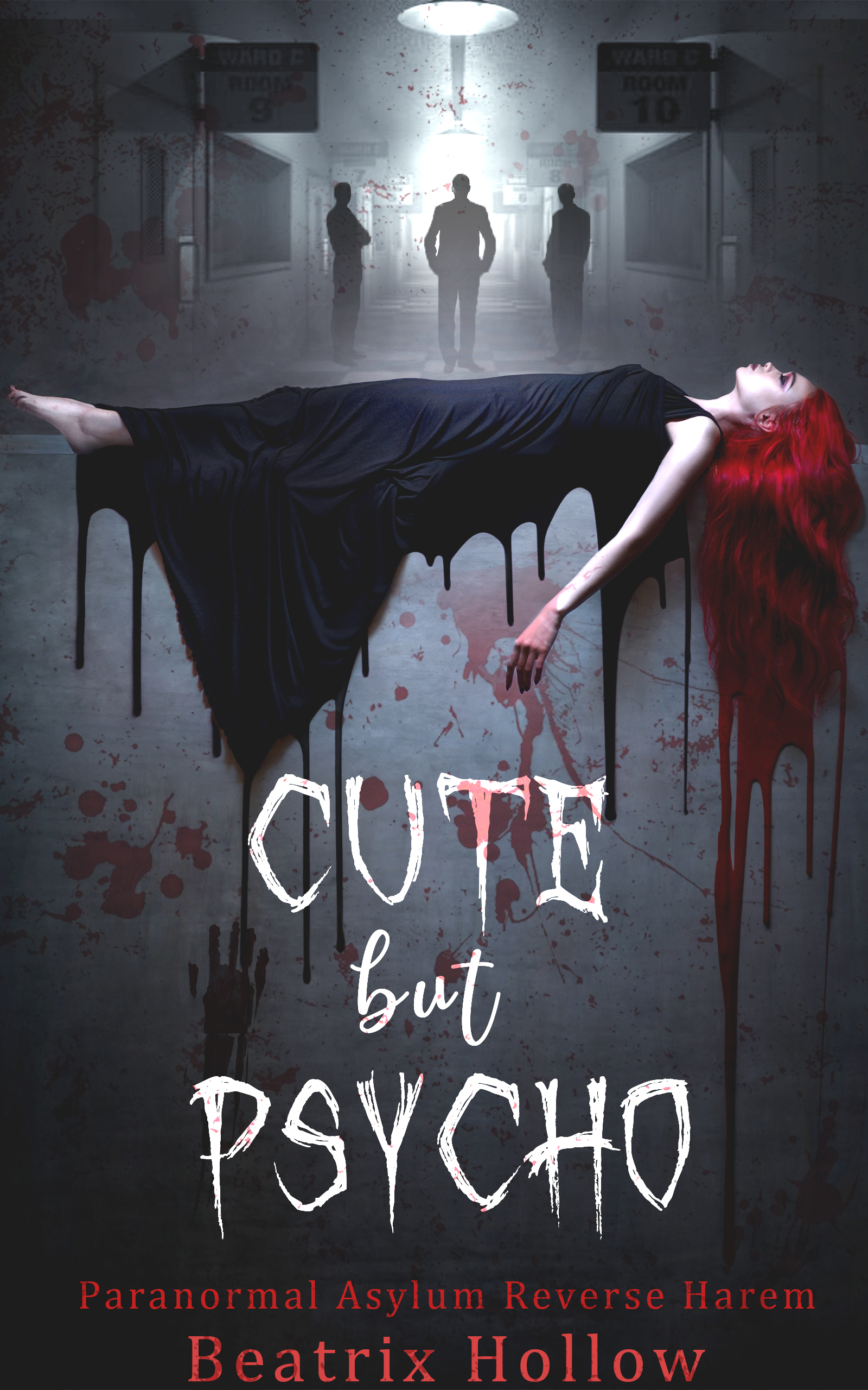 Verfallen Asylum book cover 1