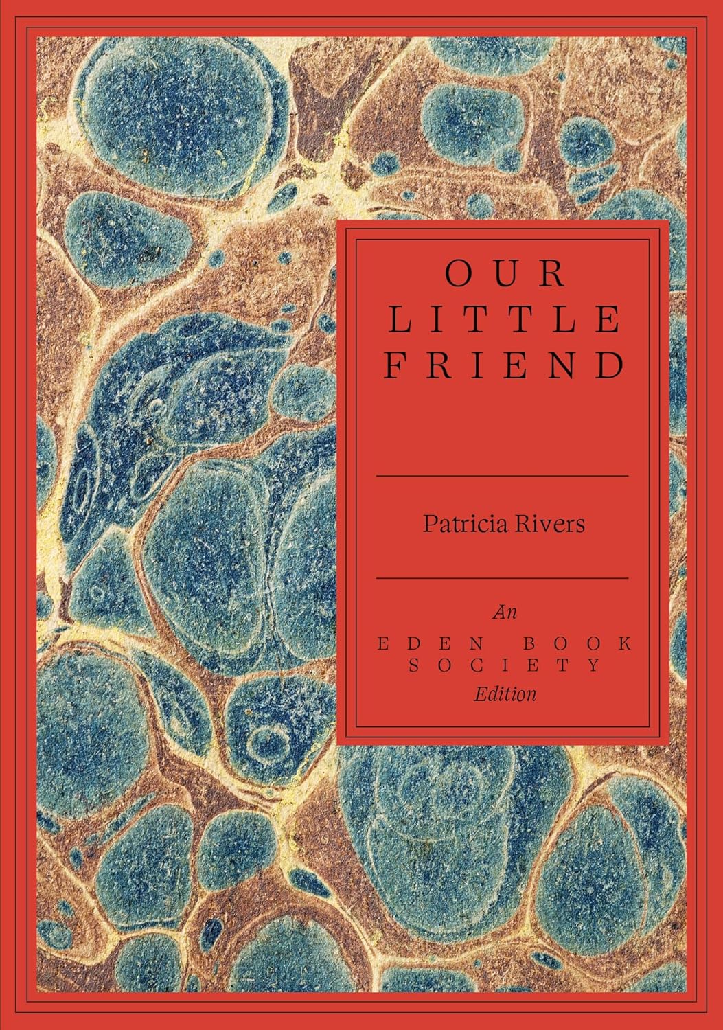 Our Little Friend book cover