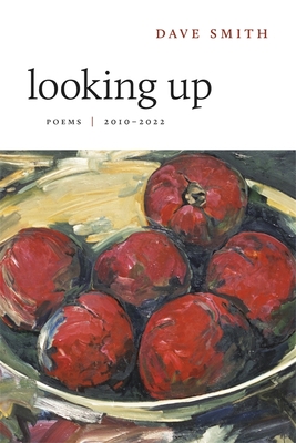 Looking Up book cover