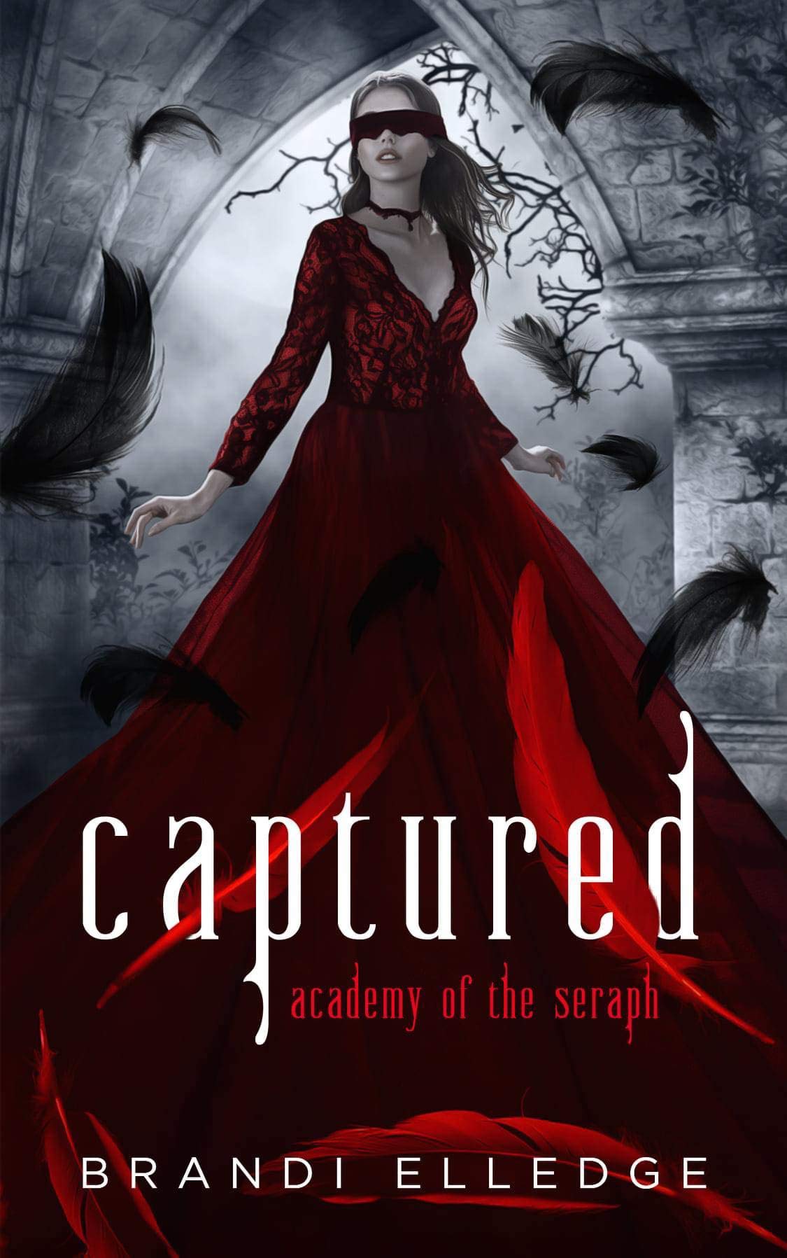 Academy of the Seraph book cover 2