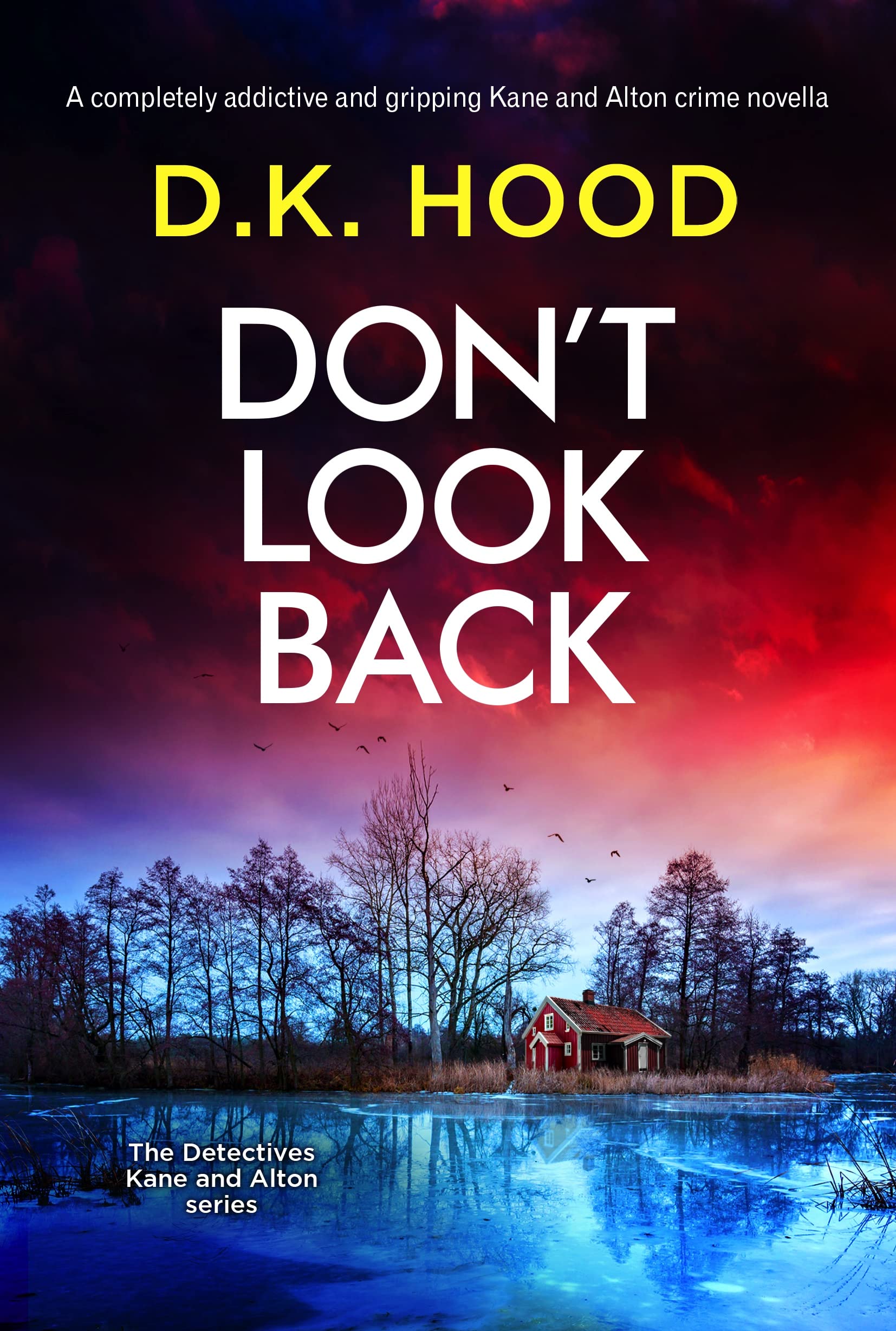 Don't Look Back book cover