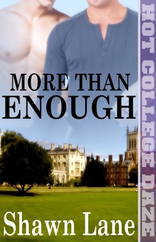 More book cover 2