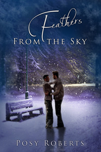Feathers From the Sky book cover