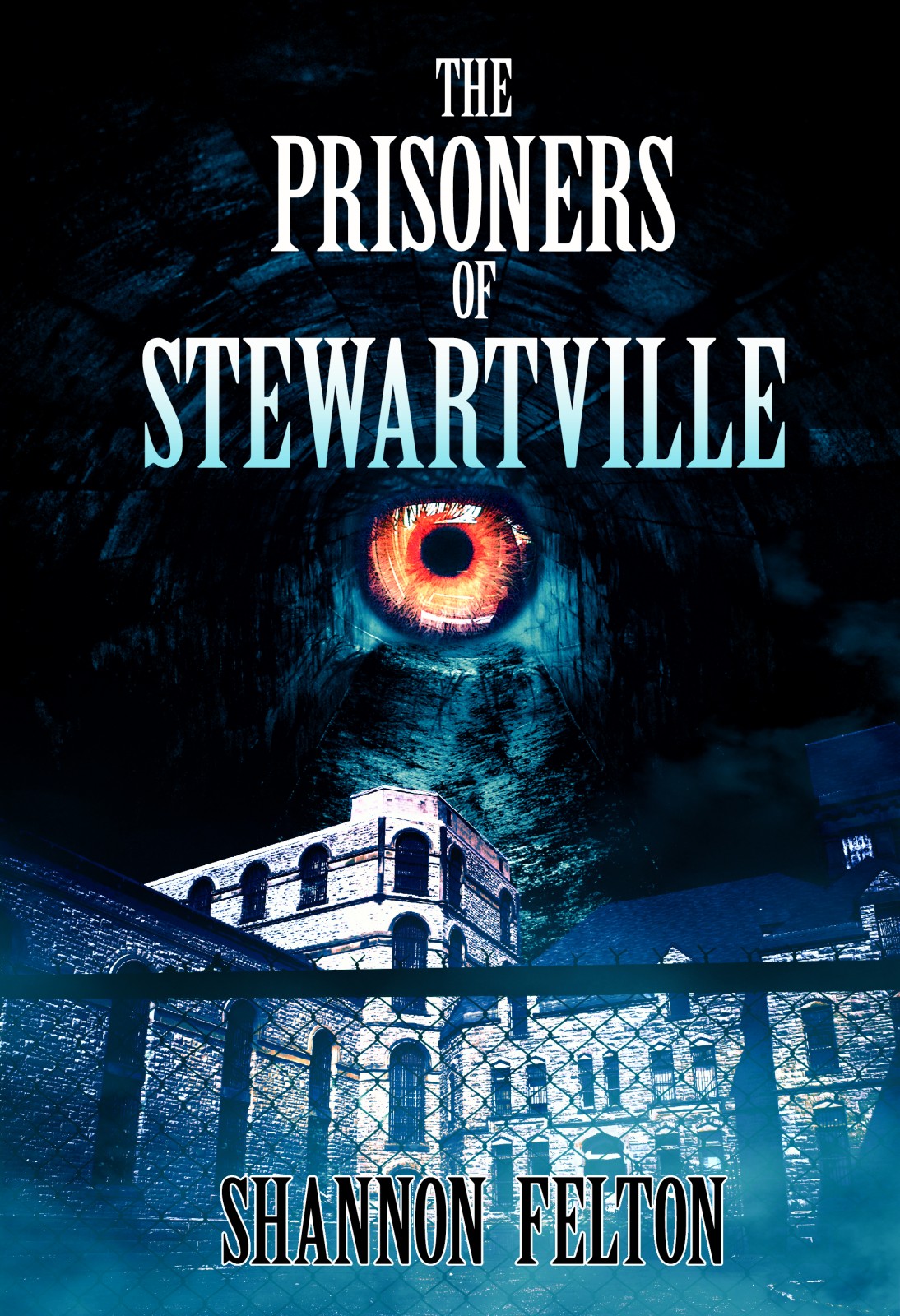 The Prisoners of Stewartville book cover