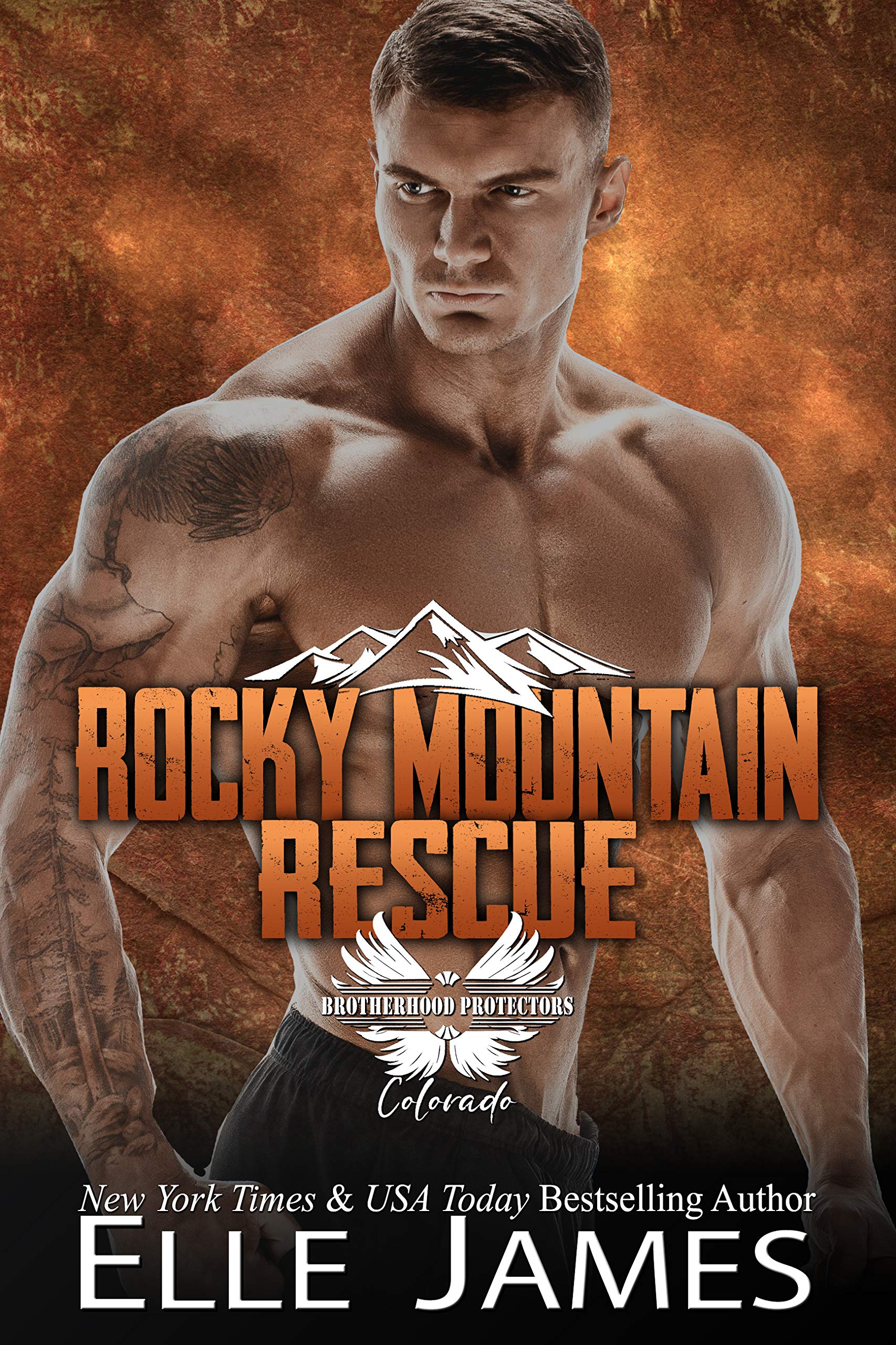 Brotherhood Protectors: Colorado book cover 2