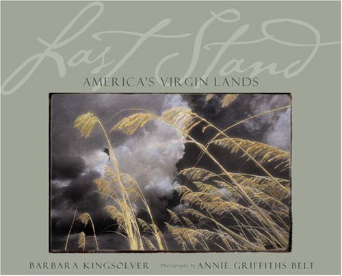 Last Stand book cover