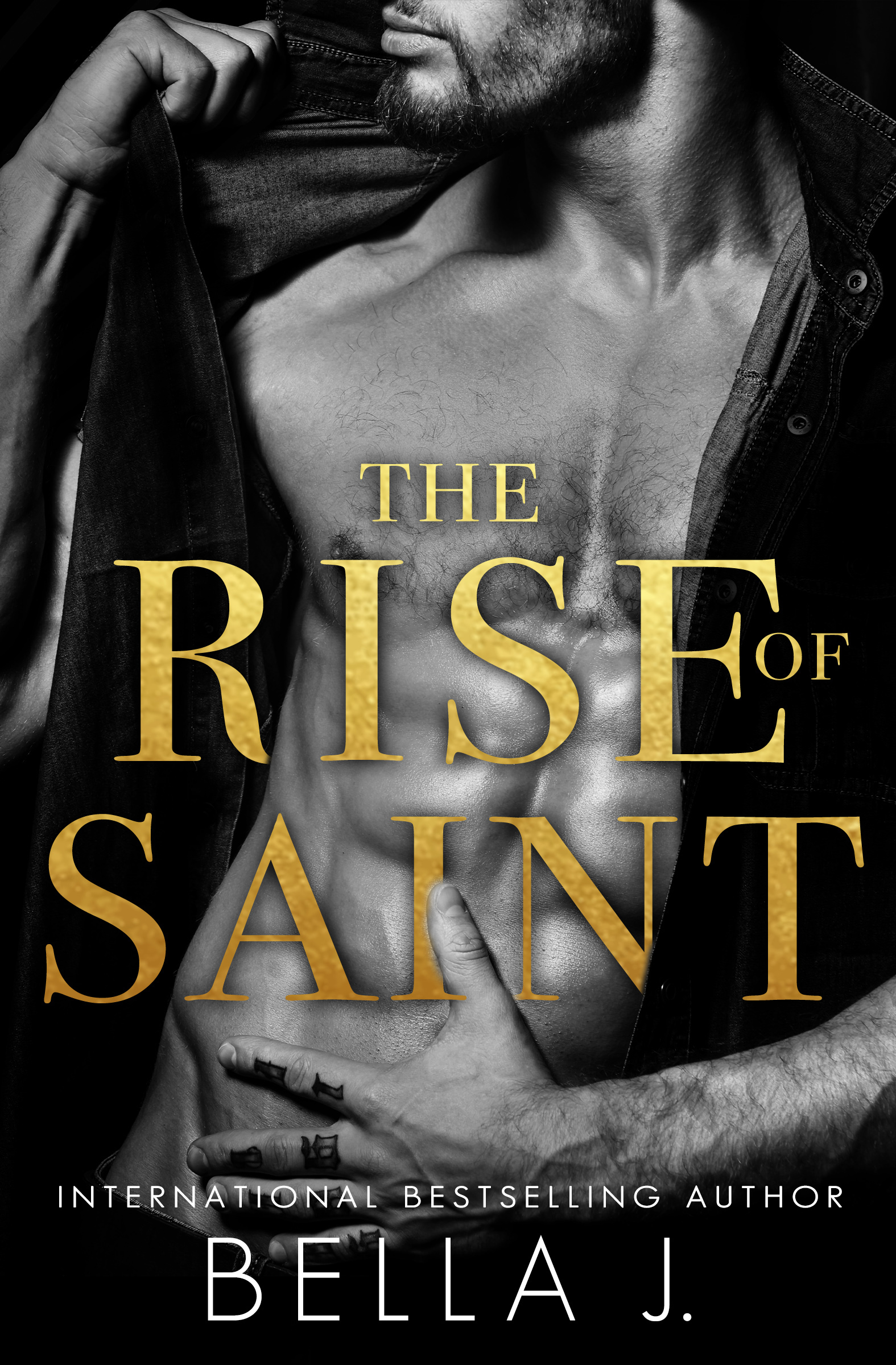 The Sins of Saint book cover 1