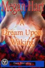 ZZZ book cover