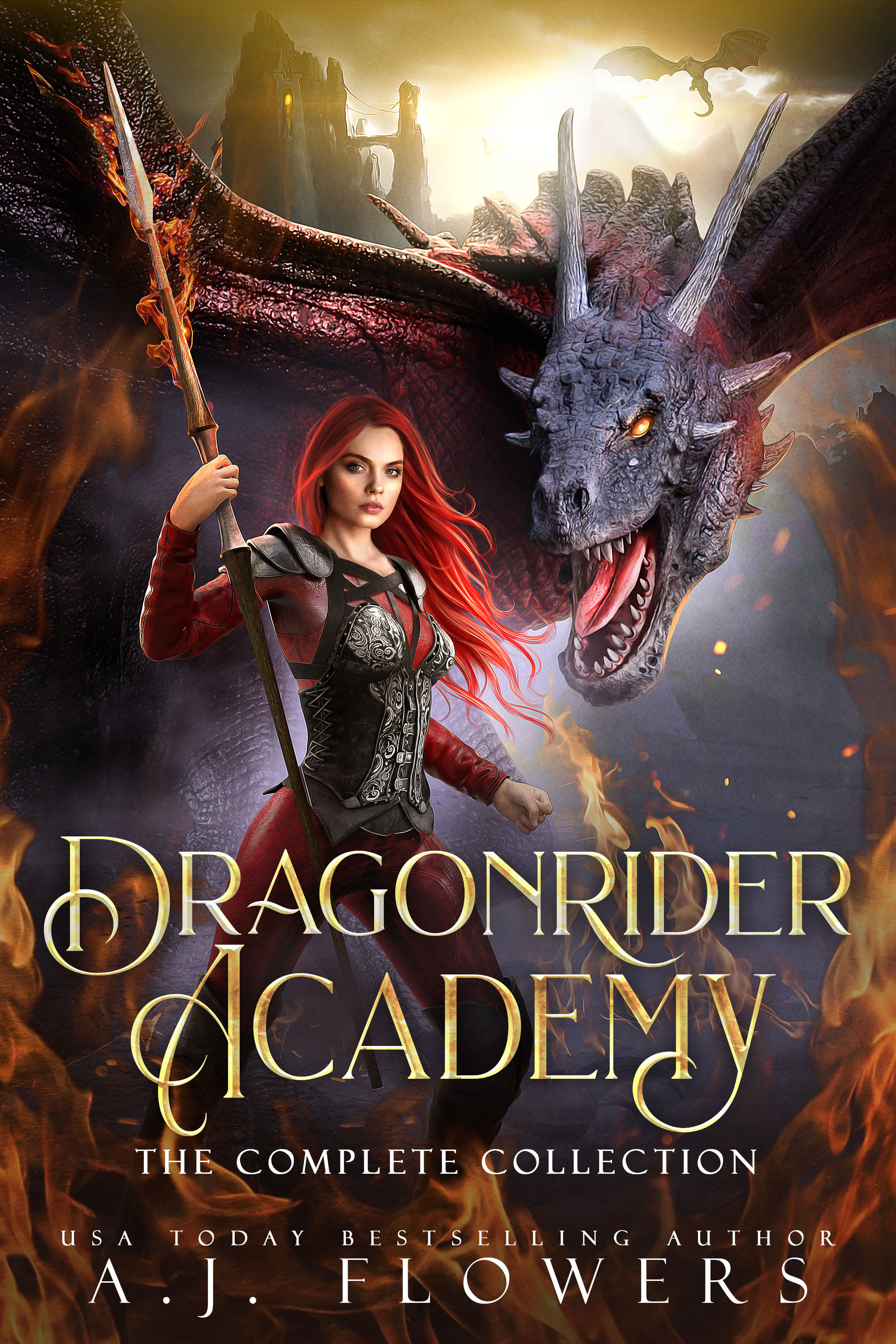 Dragonrider Academy book cover