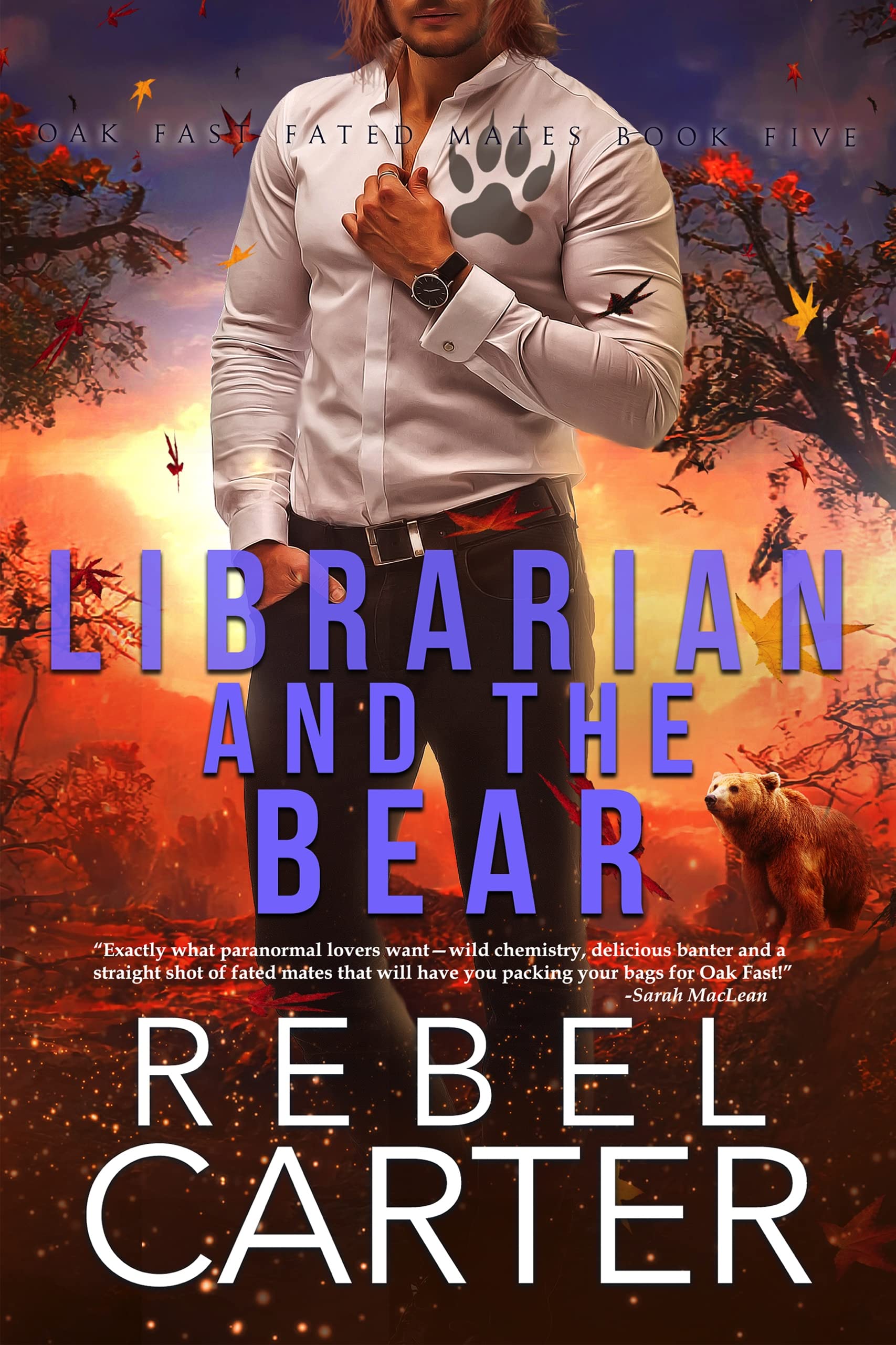 Librarian and The Bear book cover