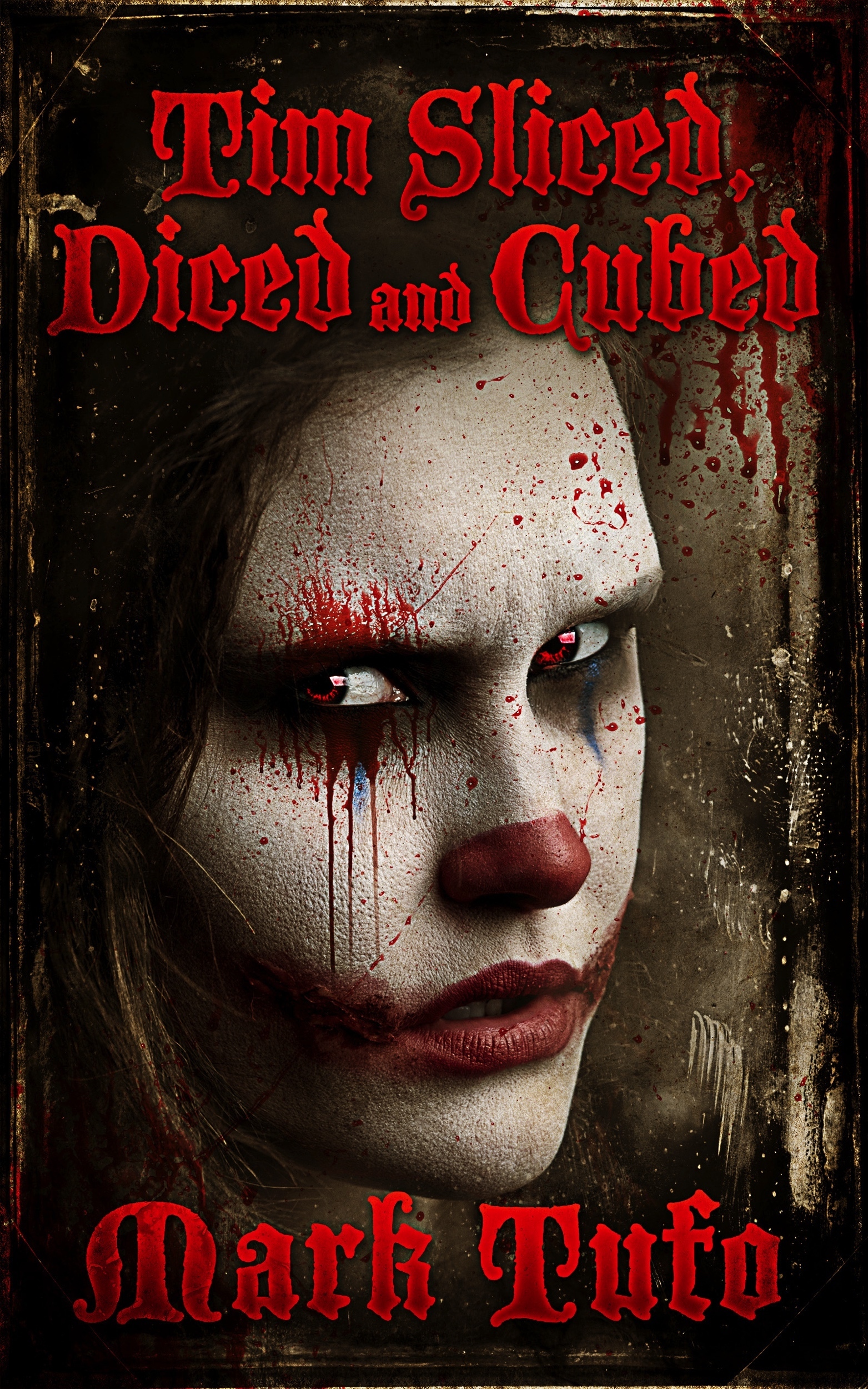 Timothy book cover 3