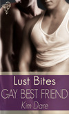 Gay Best Friend book cover
