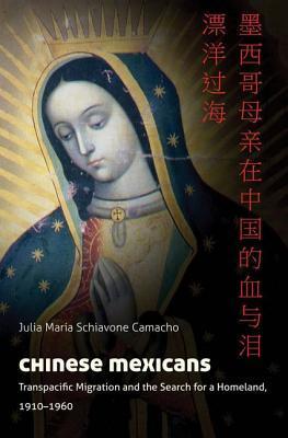 Chinese Mexicans book cover