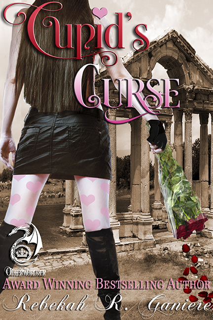 Vigilante at Valentine book cover