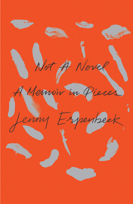 Not a Novel book cover