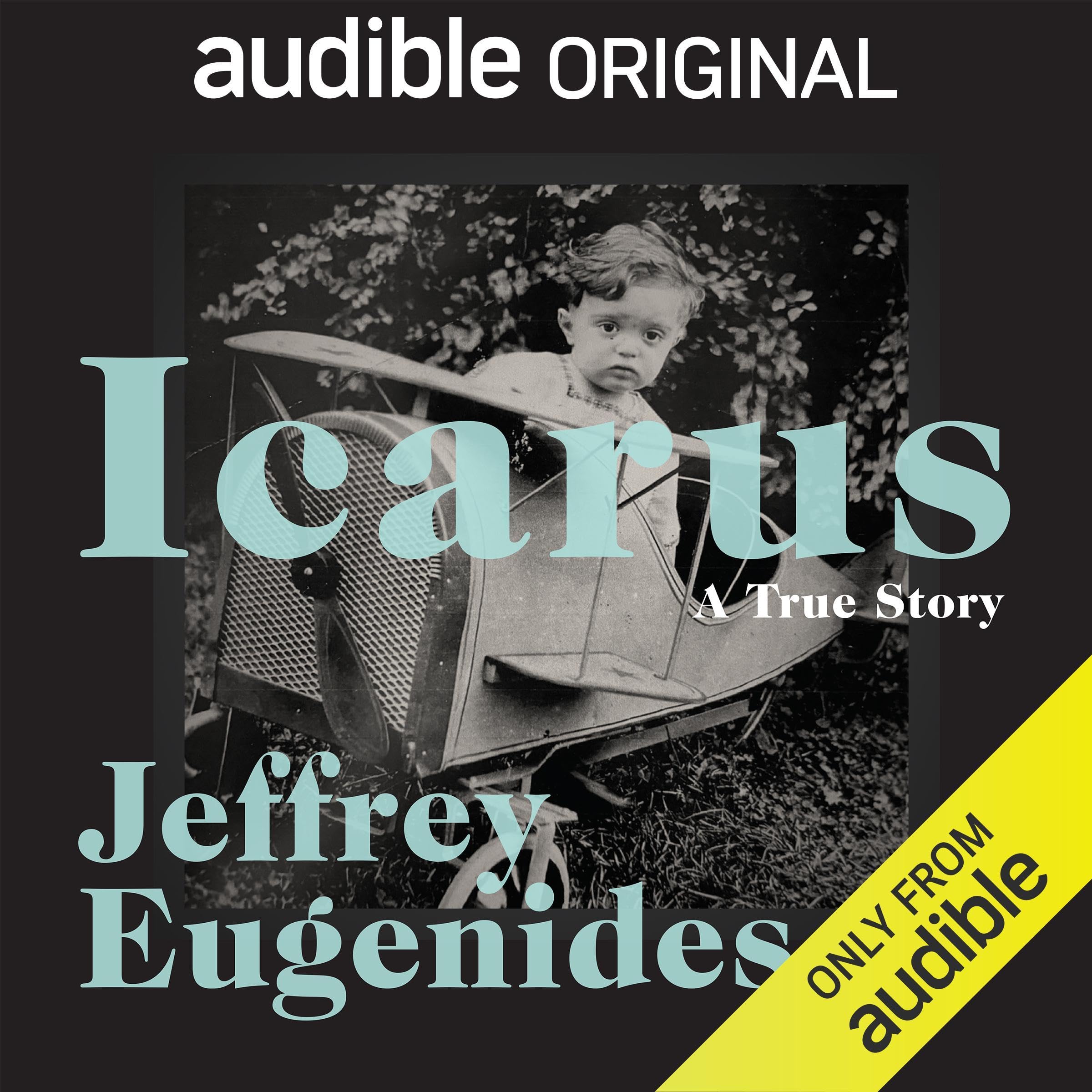 Icarus book cover