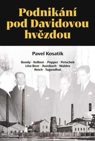 Podnikání pod Davidovou hvězdou book cover