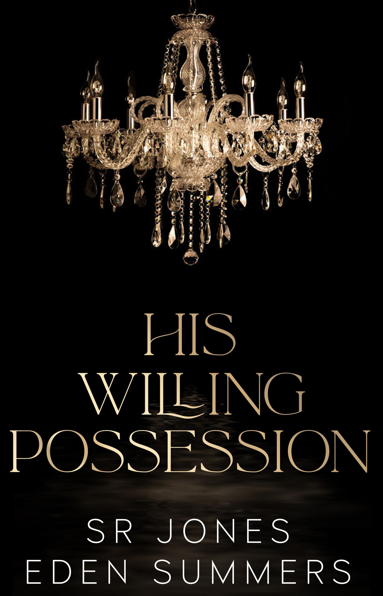 His Willing Possession book cover