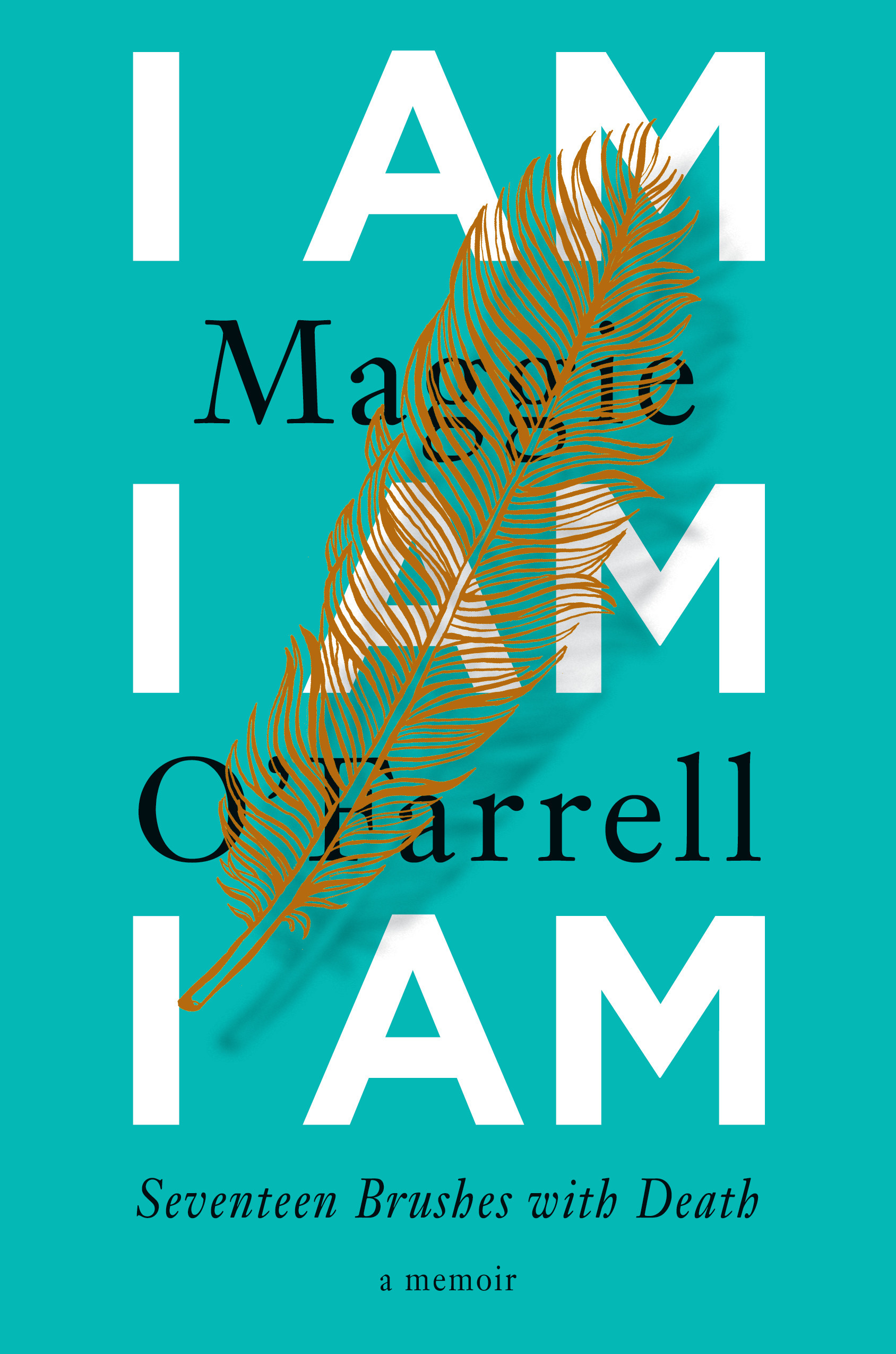 I Am, I Am, I Am book cover