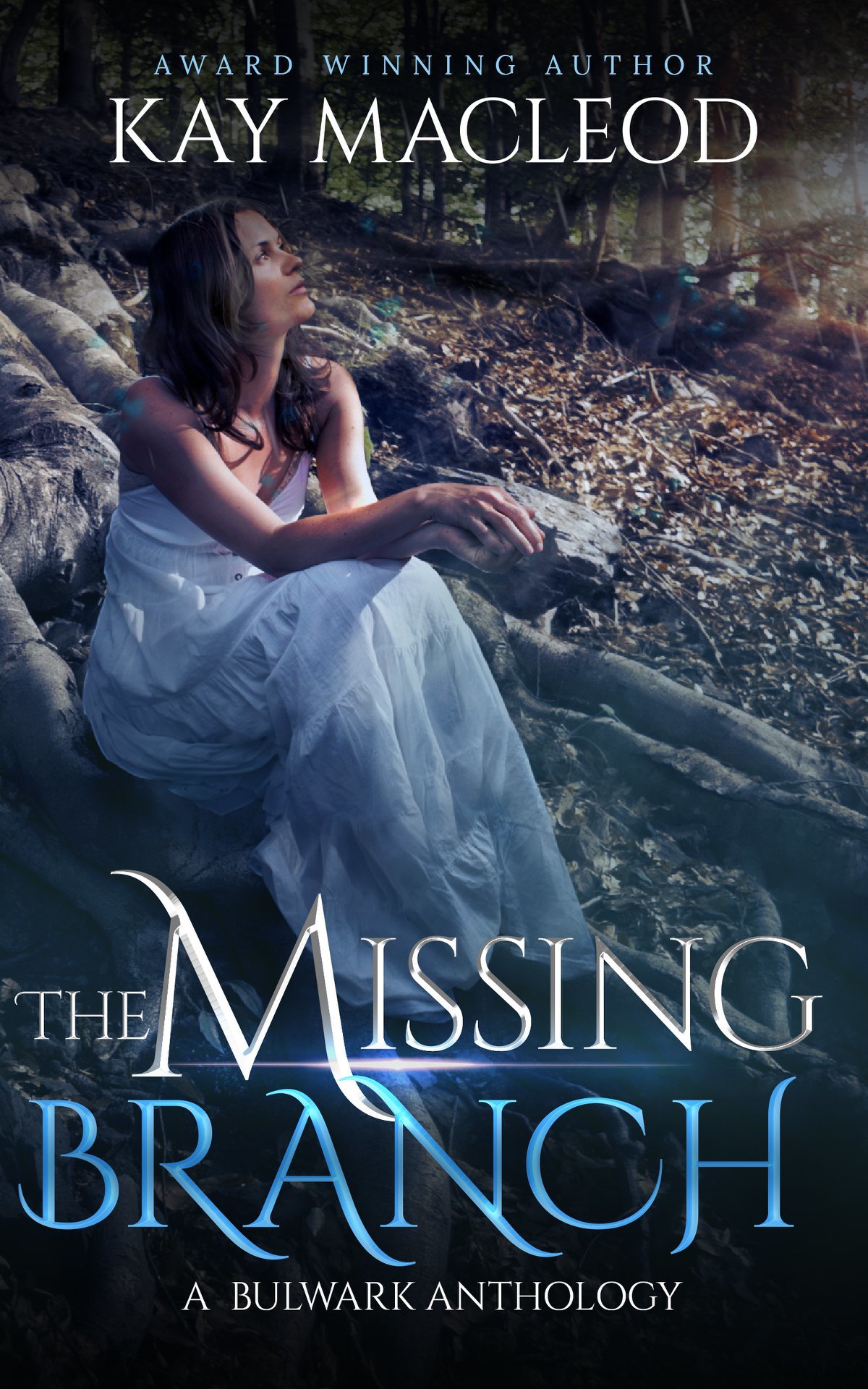 The Missing Branch book cover
