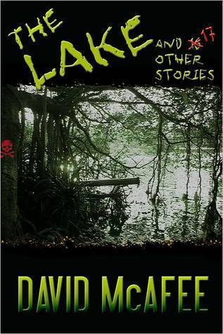 The Lake and 17 Other Stories book cover