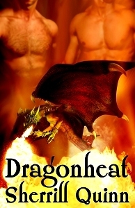 Dragonfire book cover 2