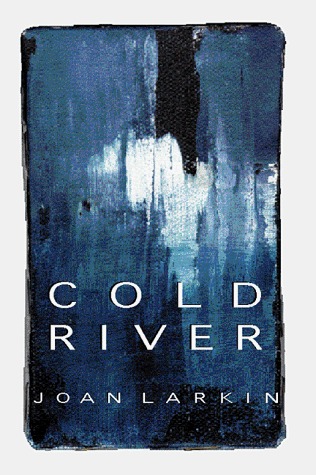 Cold River book cover