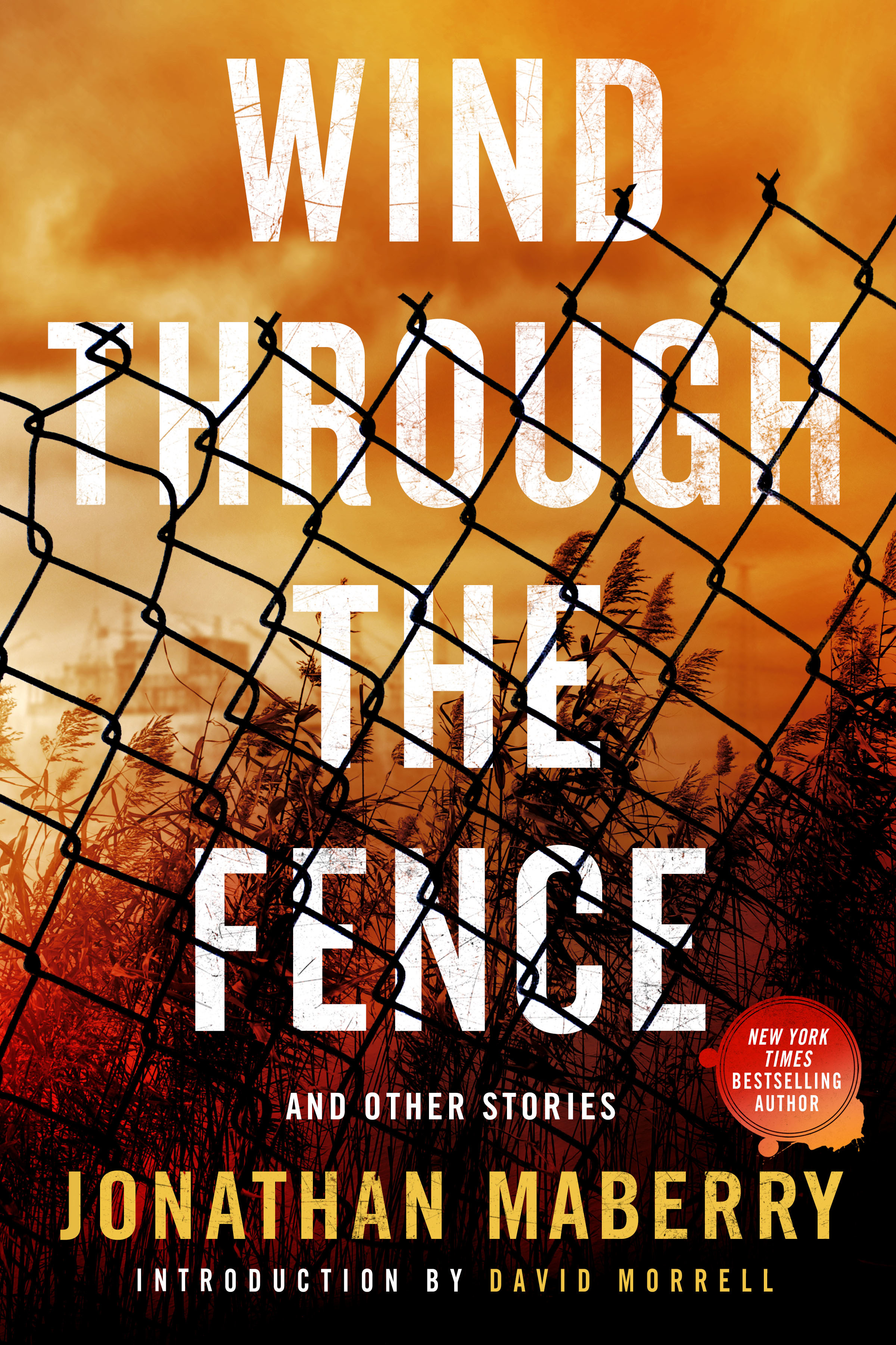 Wind Through the Fence book cover