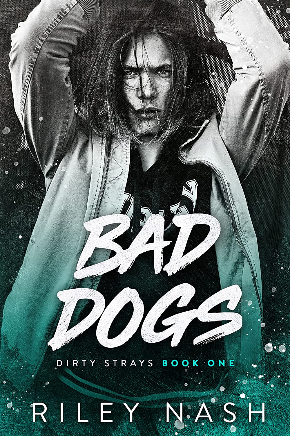 Dirty Strays book cover 1
