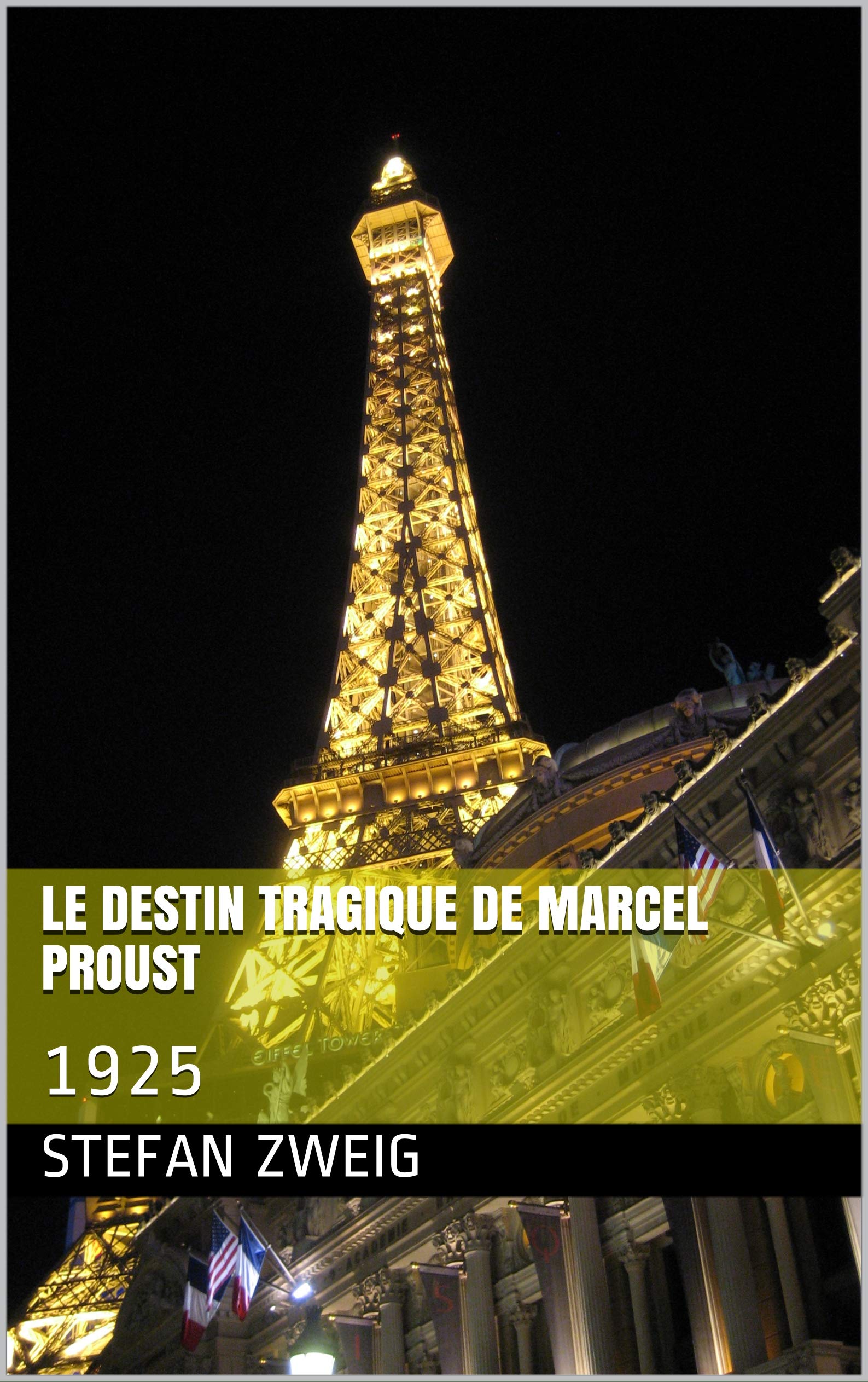 Le destin tragique de Marcel Proust book cover
