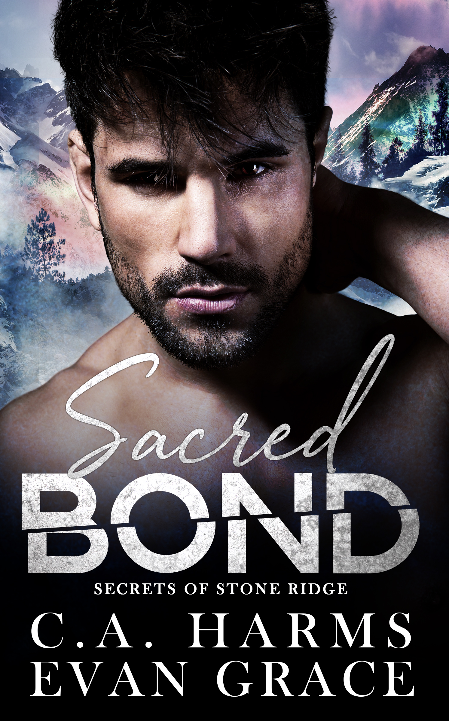 Secrets of Stone Ridge book cover 1