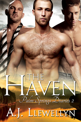 Palm Springs Diaries book cover 2