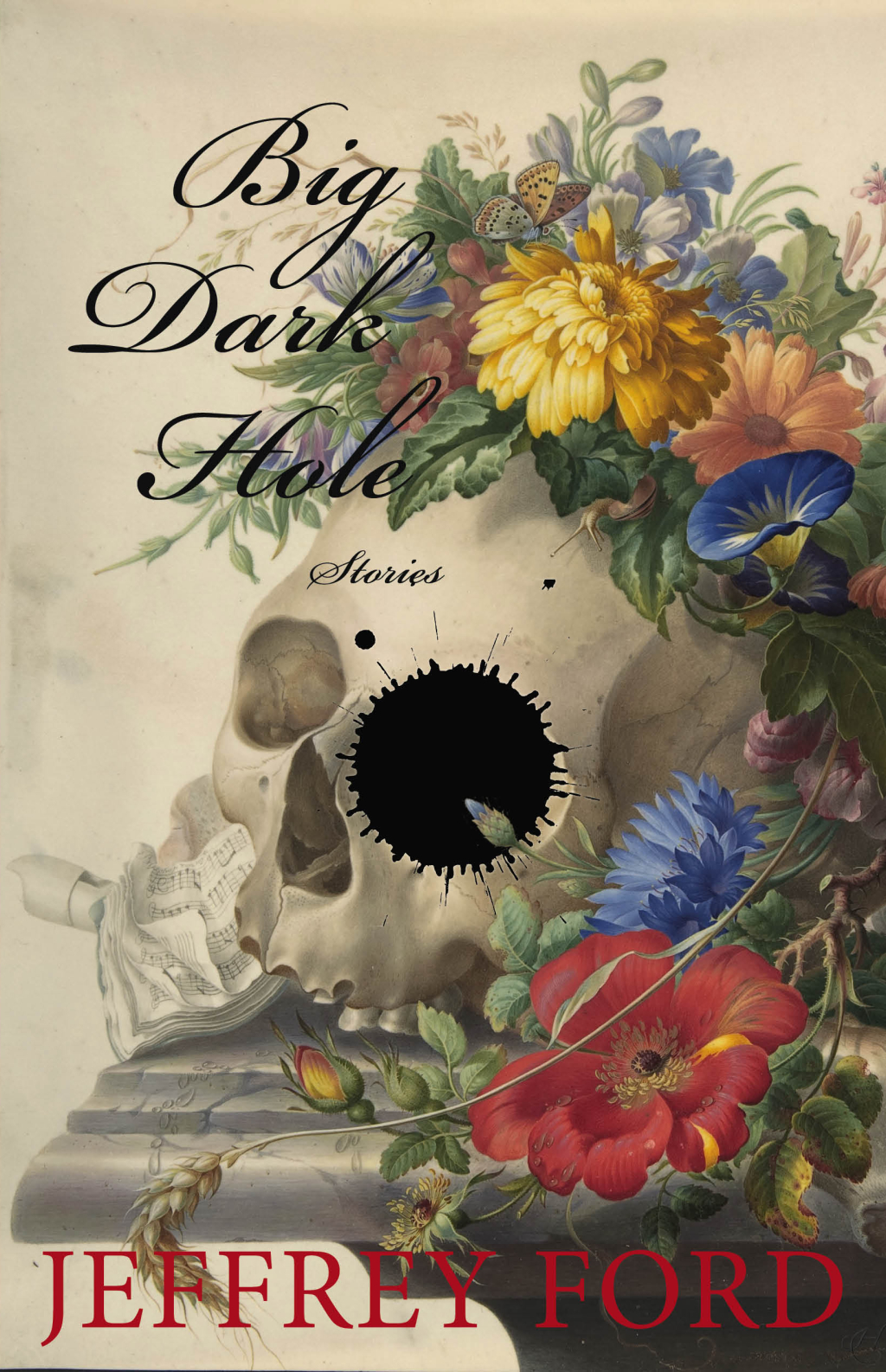 Big Dark Hole book cover