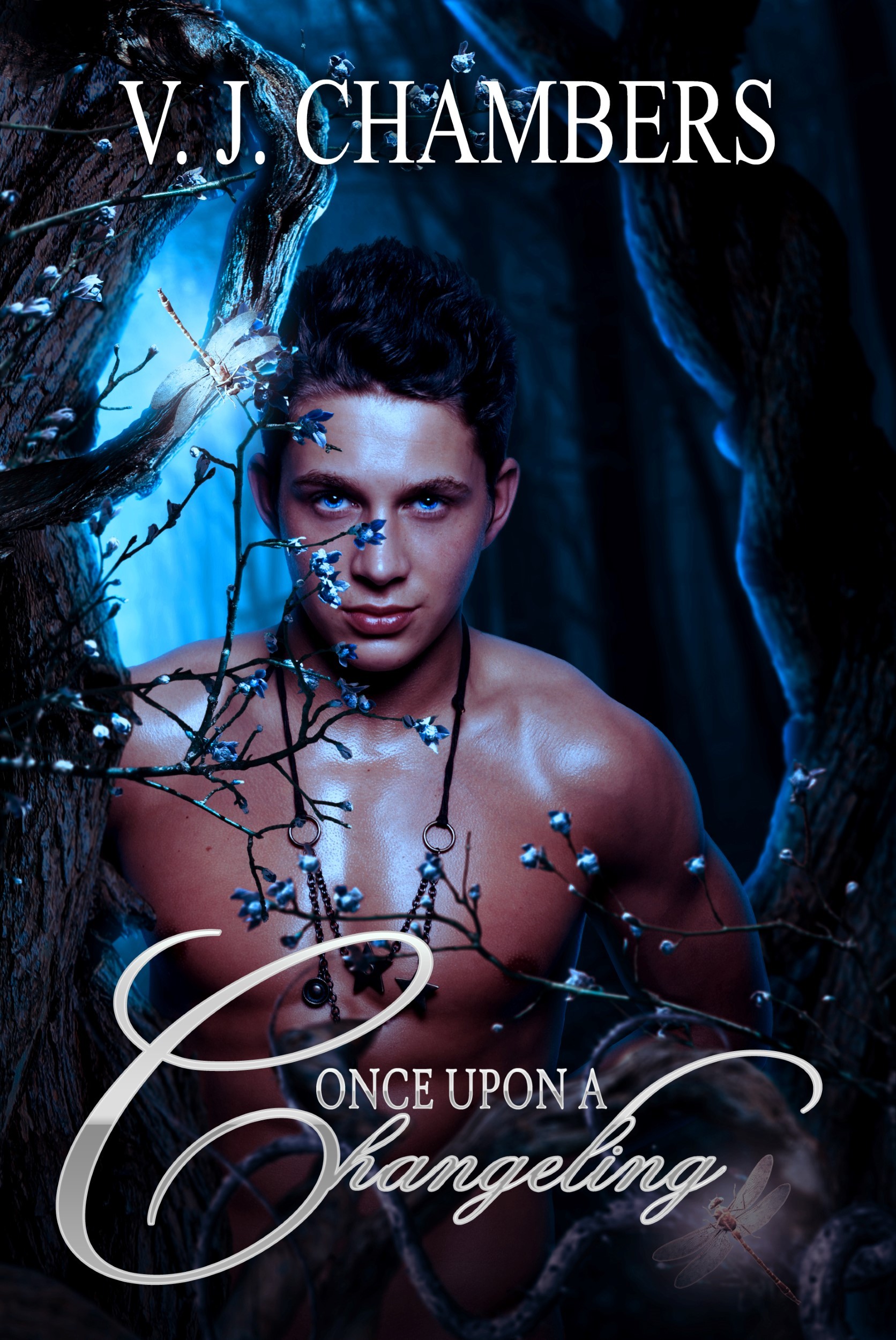 Once Upon a Changeling book cover
