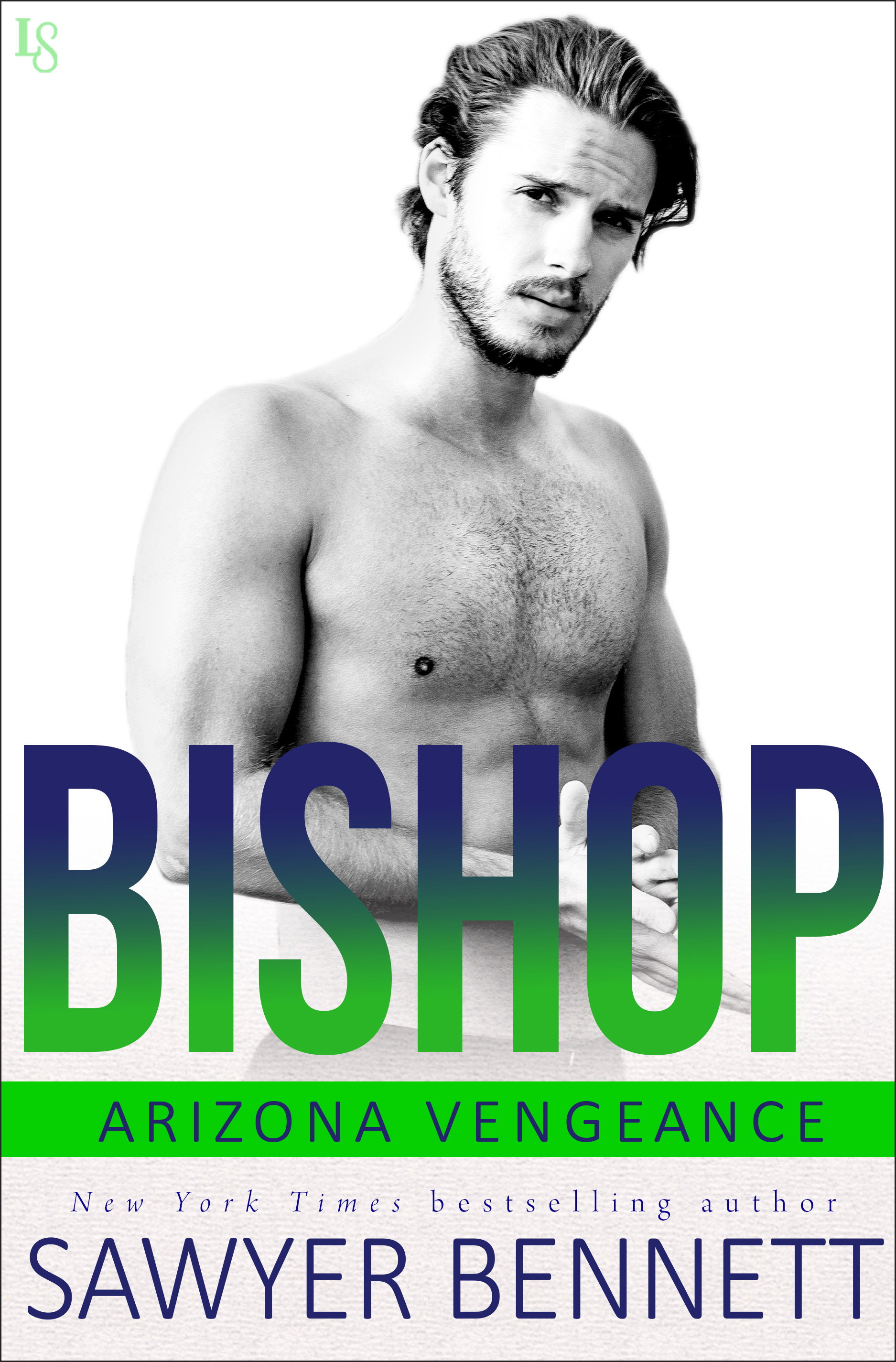 Arizona Vengeance book cover 1
