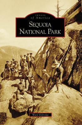 Sequoia National Park book cover