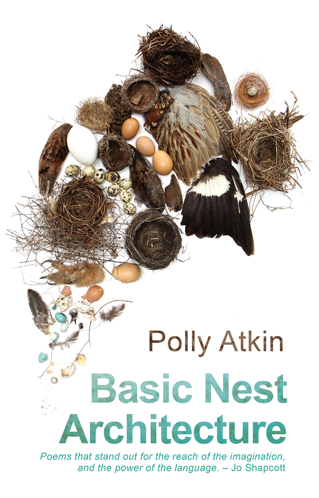 Basic Nest Architecture book cover