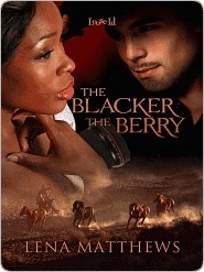 Wild Wild West Series book cover 2