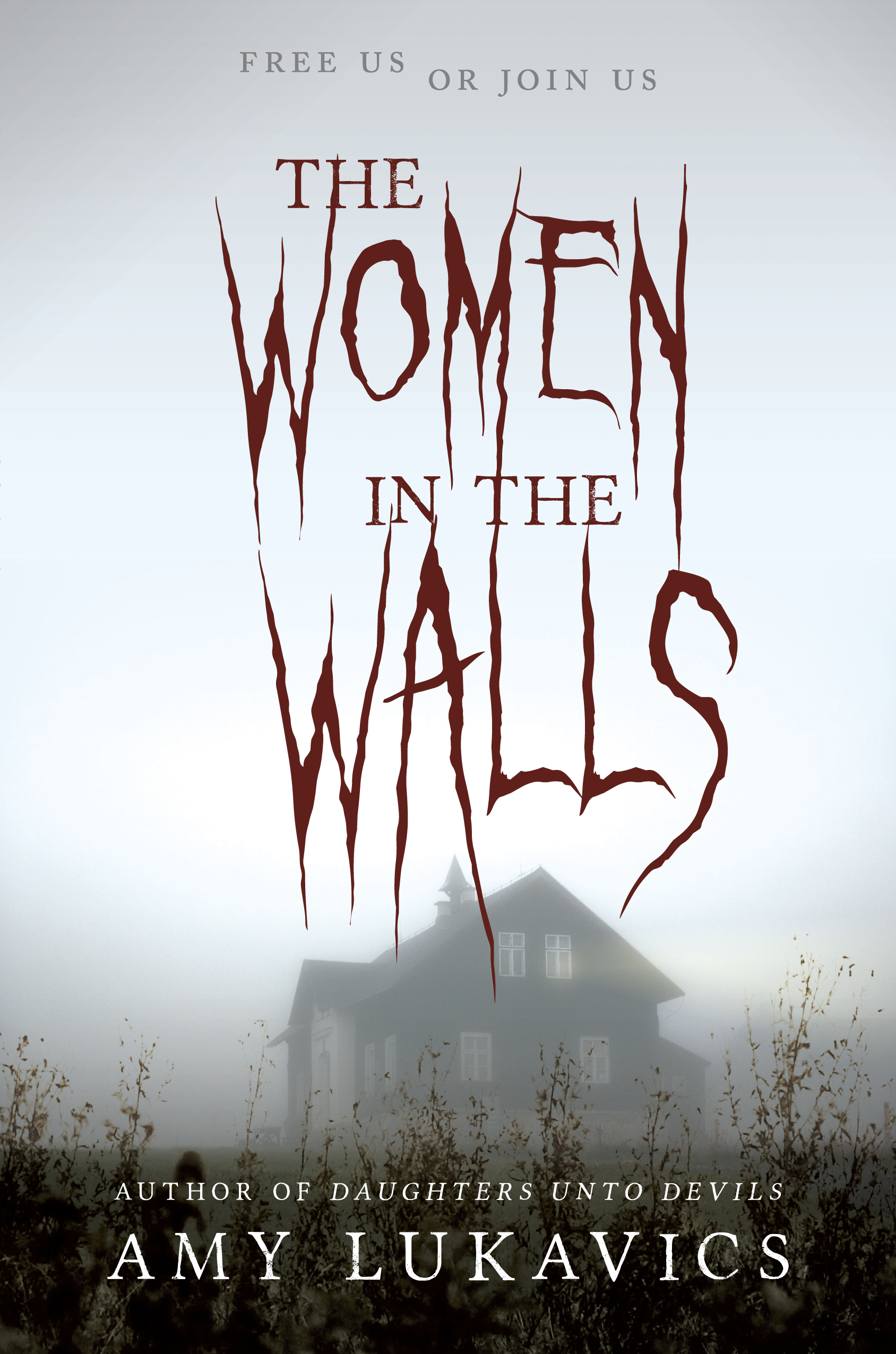 The Women in the Walls book cover
