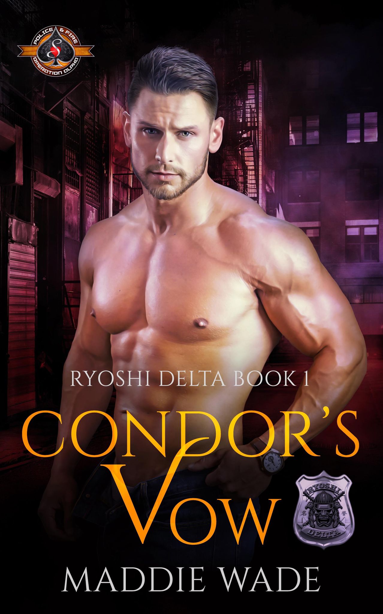 Ryoshi Delta book cover 1