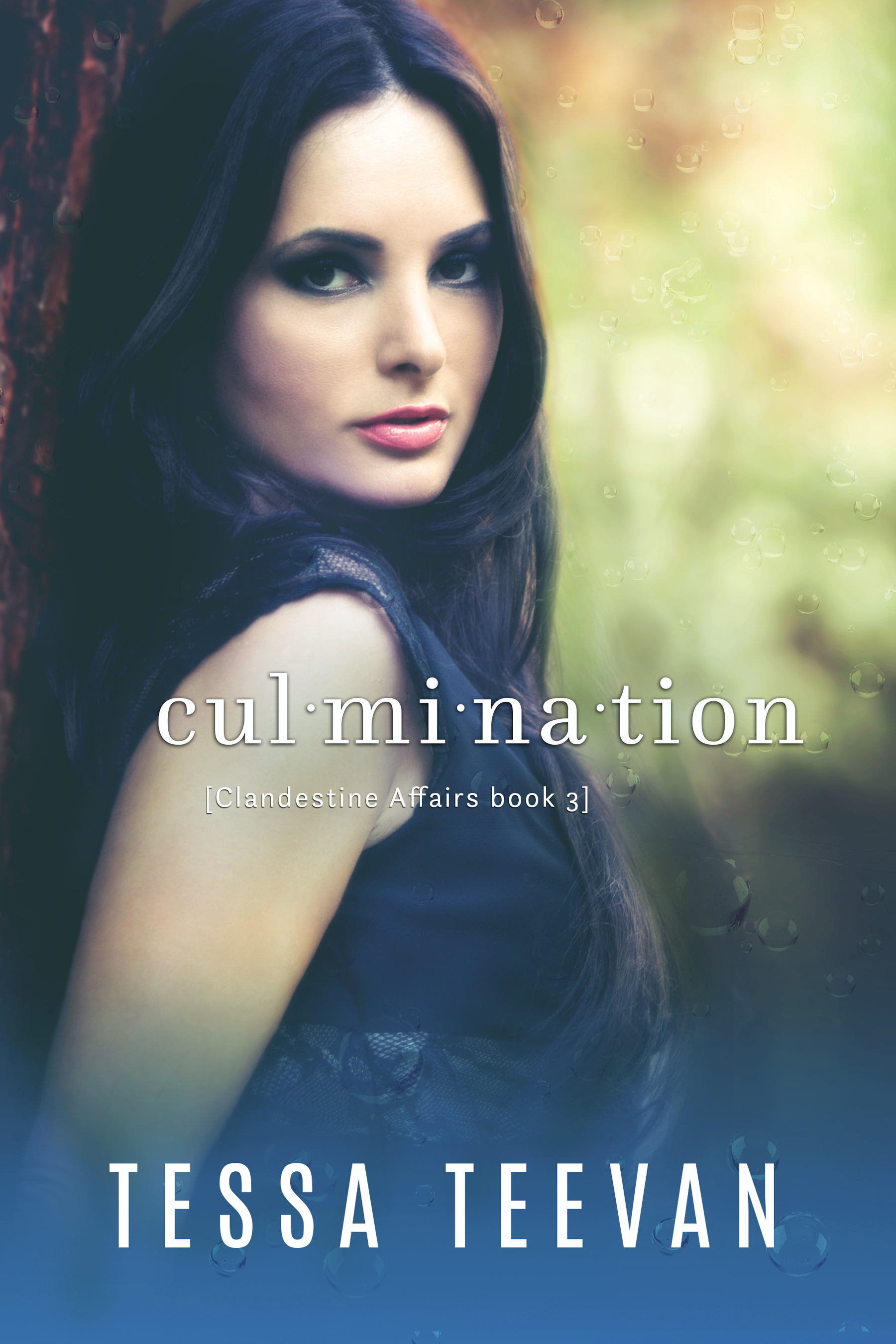 Culmination book cover