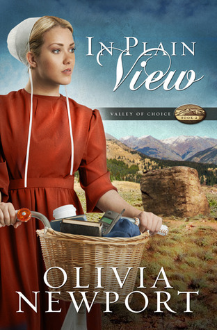 In Plain View book cover