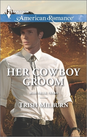 Her Cowboy Groom book cover