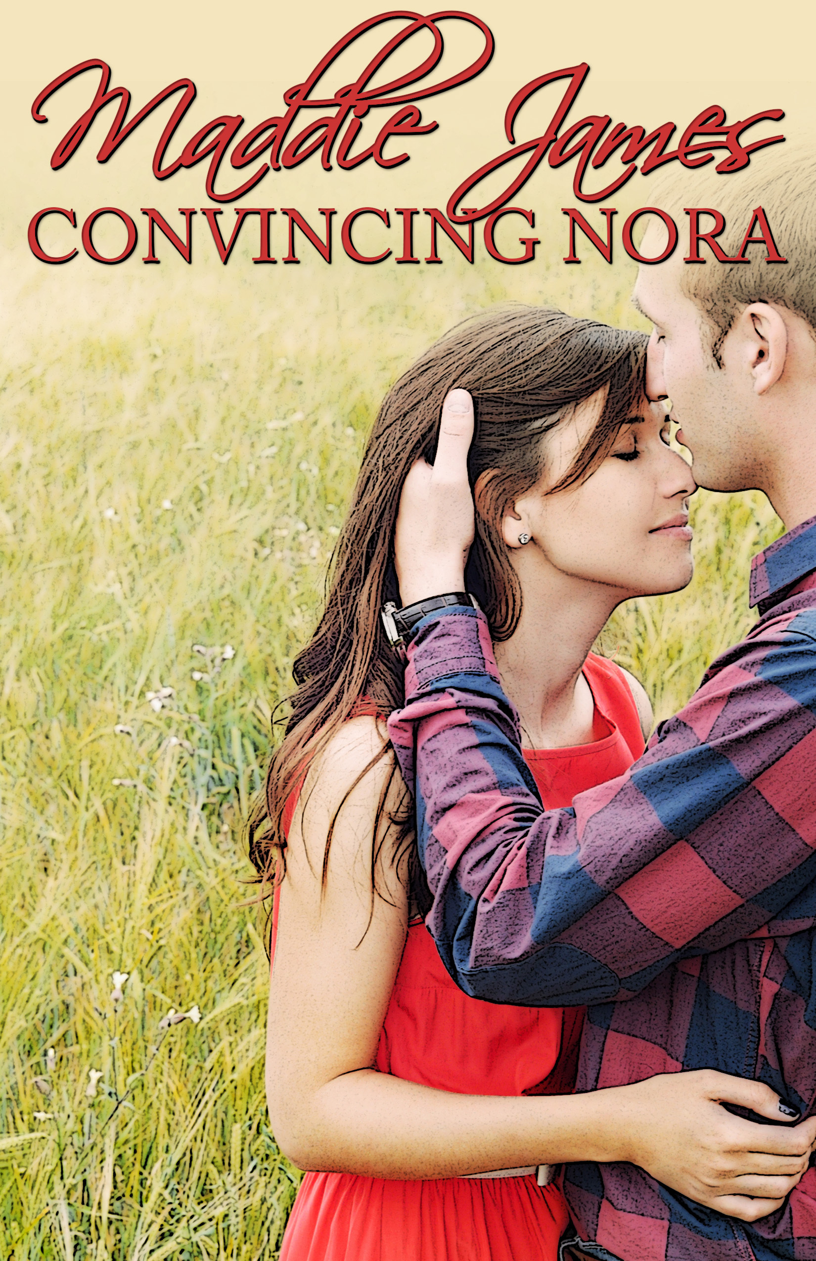 Convincing Nora book cover