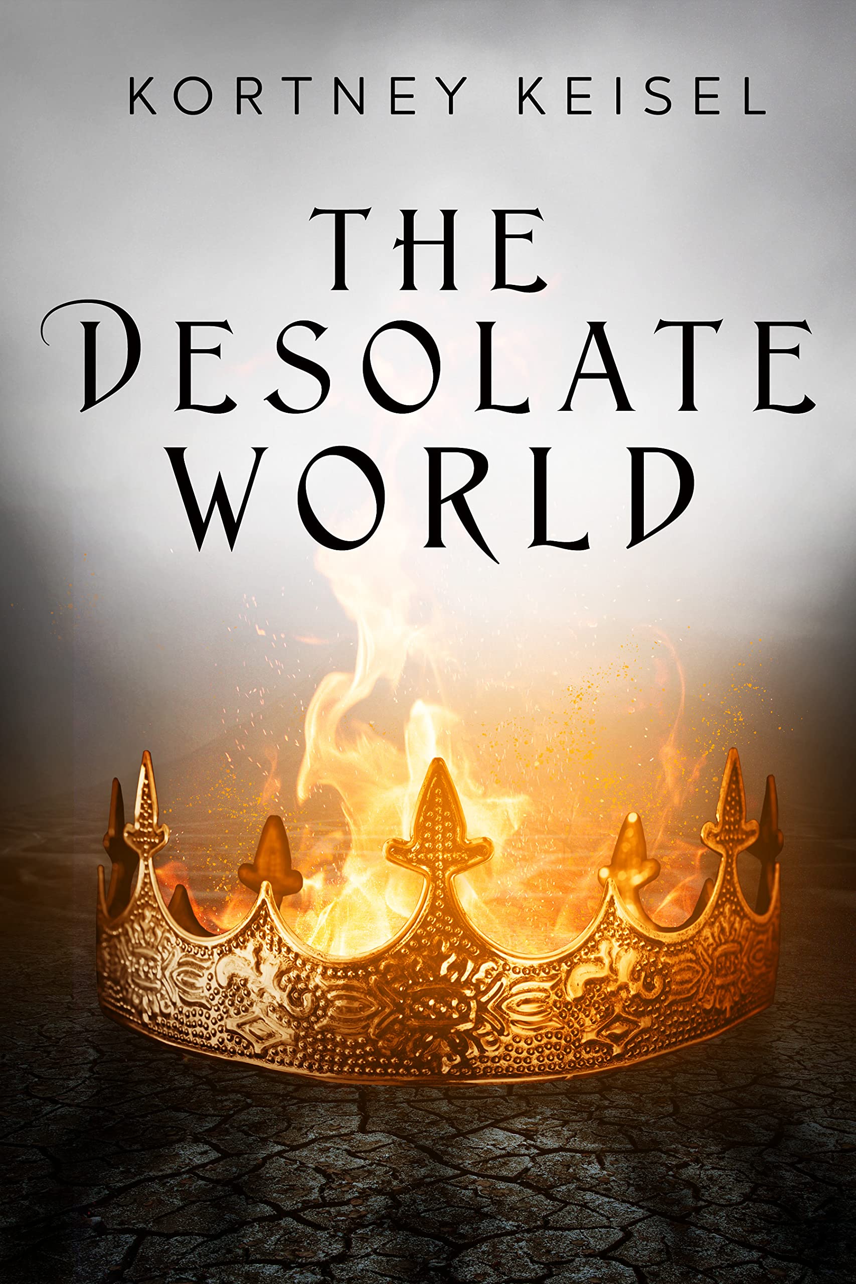 The Desolate World book cover