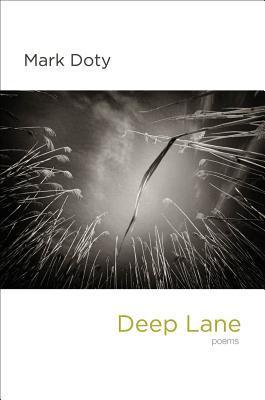 Deep Lane book cover